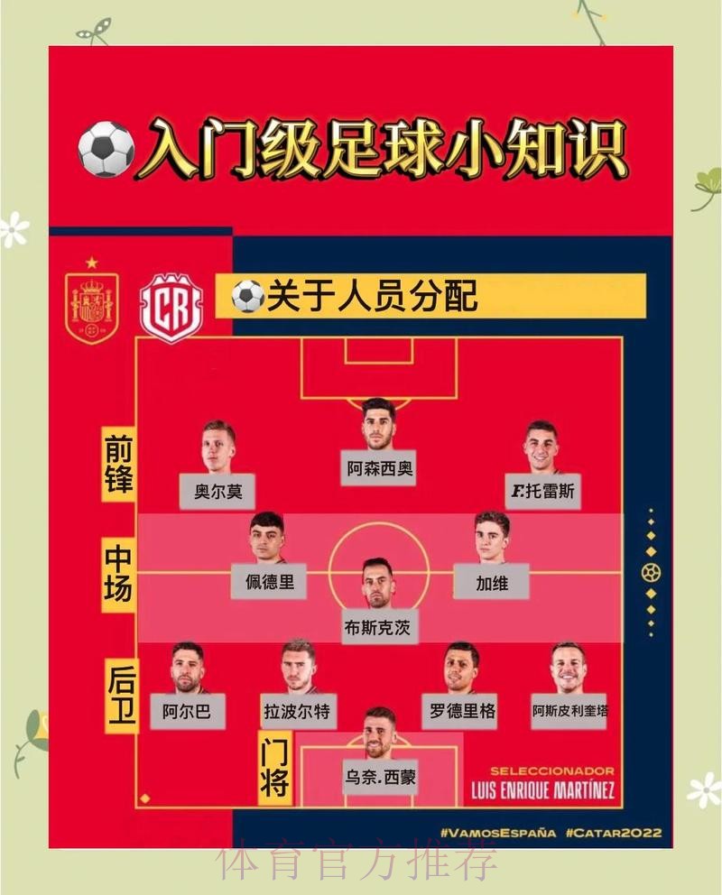 深入解析世界杯大小球投注策略